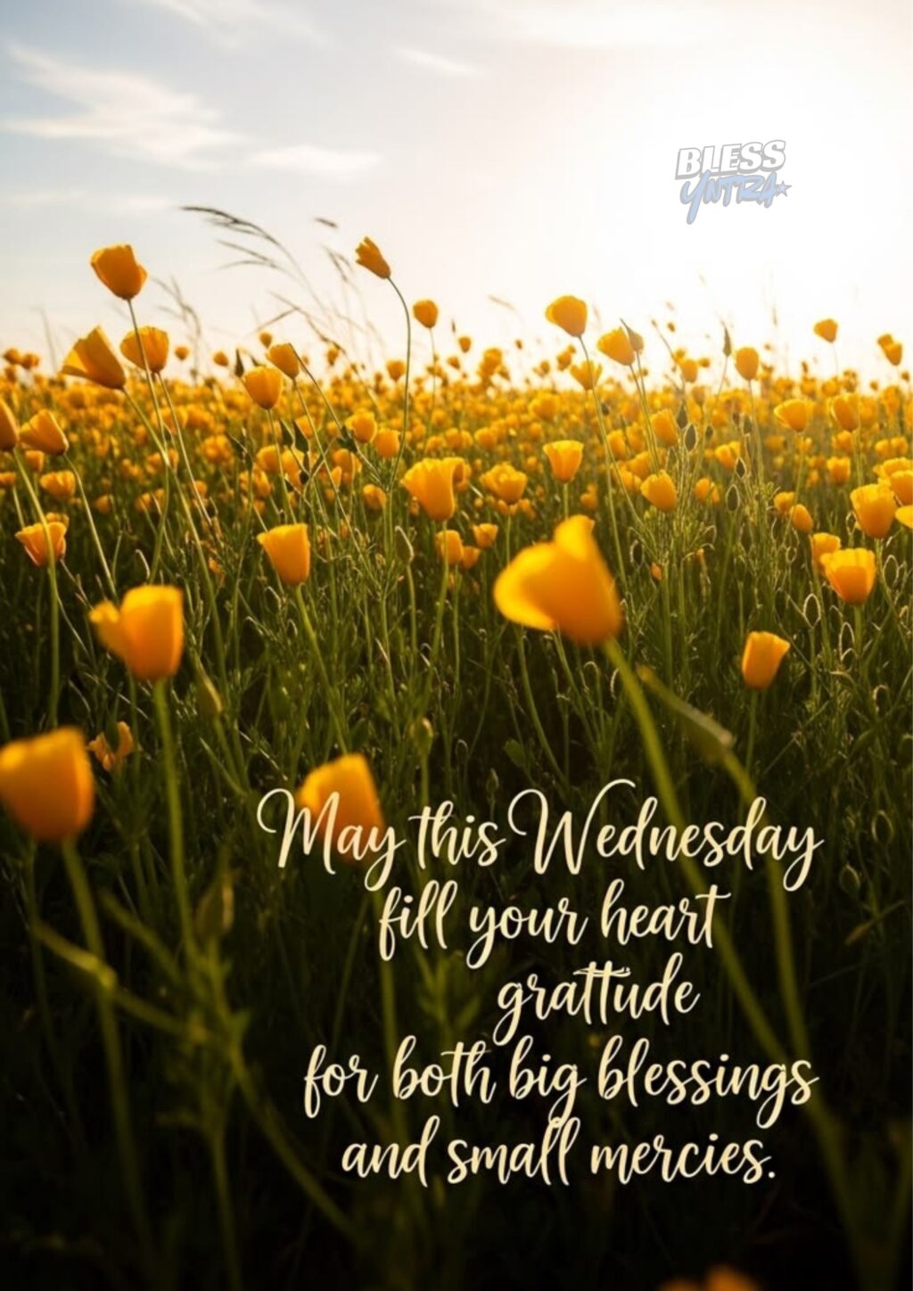 happy-wednesday-blessings