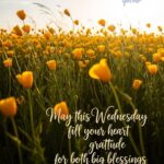 happy-wednesday-blessings