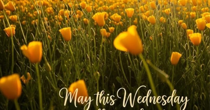 happy-wednesday-blessings