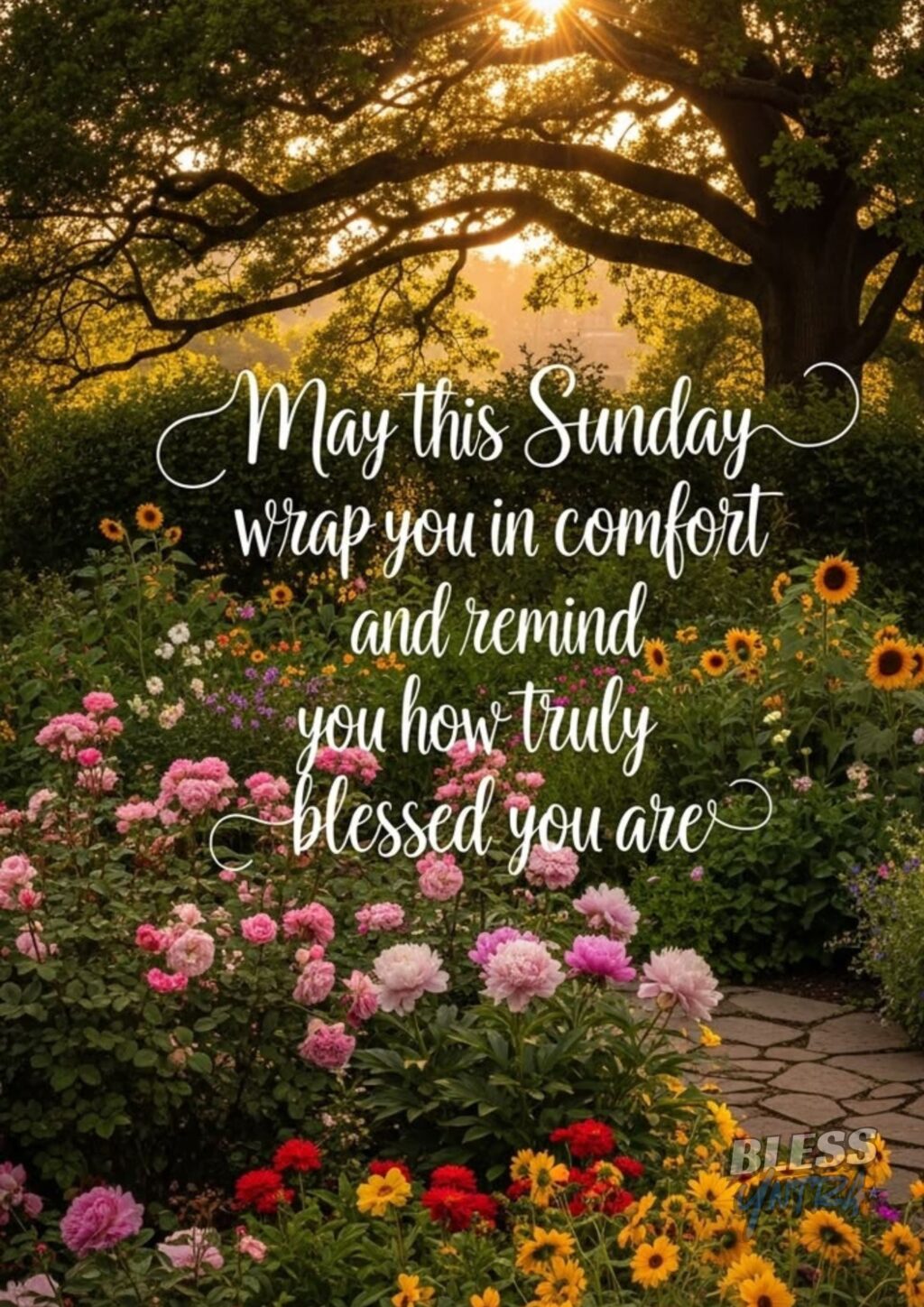 sunday-afternoon-blessings