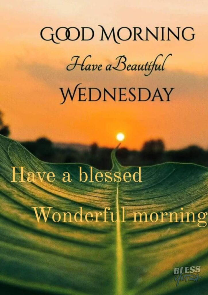 beautiful-wednesday-morning 