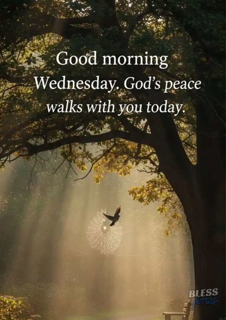 short-wednesday-morning