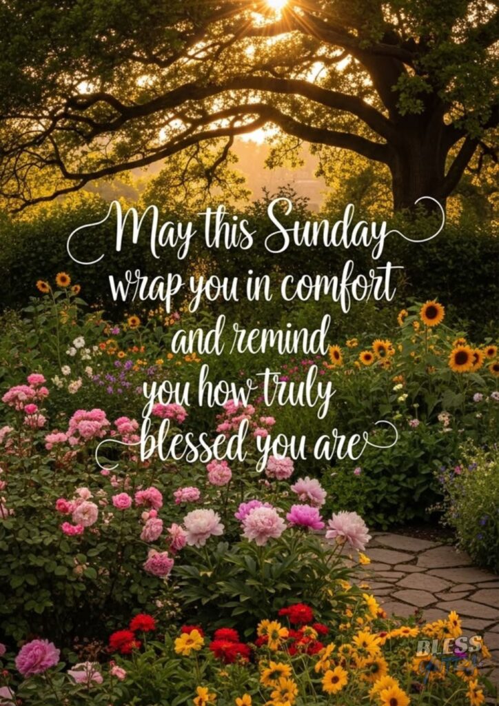 sunday-morning