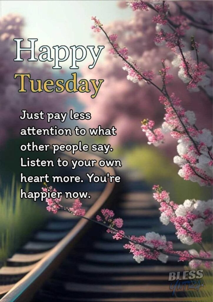 tuesday-images