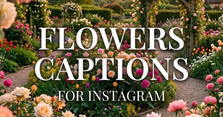 flowers-captions