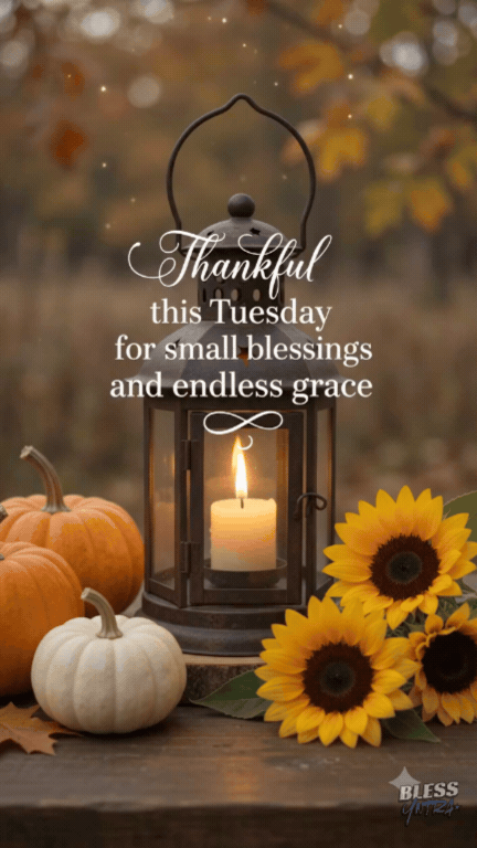 thankful-tuesday-gif